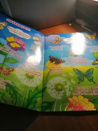 Велика книжка. Розвивальні наліпки. Розумнi завдання. Комахи та павукоподібні F00021860 9789669870551 фото від покупців 1