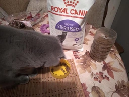Сухий корм Royal Canin STERILISED для дорослих стерилізованих кішок 10 кг (3182550737623)