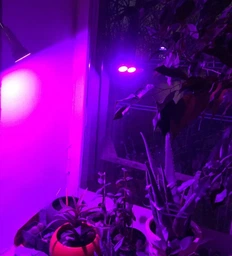Фитолампа GreenHouse GR-8 з світильником-прищіпка фото від покупців 15