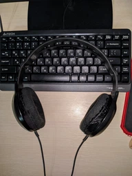 Навушники Panasonic RP-HT161E-K фото від покупців 5