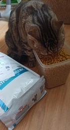 Сухий корм Royal Canin Hypoallergenic Cat дієтичний для котів при небажаній реакції на корм 5 кг фото від покупців 3