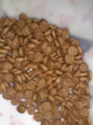 Сухой корм Monge Cat Kitten для котят, с курицей, 1,5 кг фото от покупателей 2