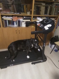 Беговая дорожка EnergyFIT 510T