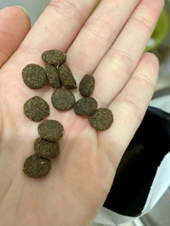 Сухой корм для щенков Brit Care Grain Free Puppy Salmon 3 кг (Беззерновой, Лосось) фото от покупателей 10