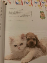 Книга Енциклопедія для допитливих. Домашні улюбленці (9786176951087)