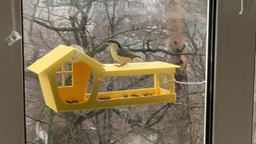 Кормушка для птиц на окно House_for_birds "Домик желтый" фото от покупателей 5