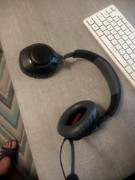 Навушники JBL Quantum 100 Black (JBLQUANTUM100BLK) фото від покупців 12