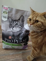 Сухий корм для дорослих котів після стерилізації Purina Pro Plan Sterilised Adult 1+ Renal Plus з індичкою 10 кг (7613033566547)A