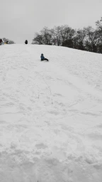 Льодянка Prosperplast CRAZY RUN червона фото від покупців 3