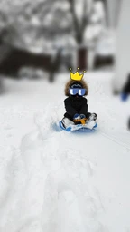 Льодянка Prosperplast CRAZY RUN червона