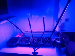 Светодиодная Фитолампа GrowLight для Выращивания Комнатных на 4 ветки Растение Full Spectrum (OJ146IU)