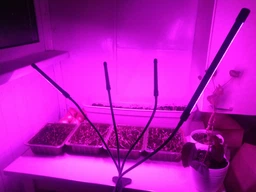 Светодиодная Фитолампа GrowLight для Выращивания Комнатных на 4 ветки Растение Full Spectrum (OJ146IU) фото от покупателей 2
