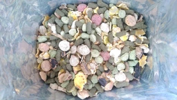 Корм для морских свинок Beaphar Xtra Vital Guinea Pig Food 1 кг (8711231161430) фото от покупателей 3