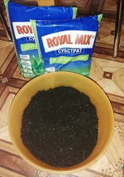 Торфяной субстрат Royal Mix для рассады 2.5 л 3 шт (2017112459) фото от покупателей 2
