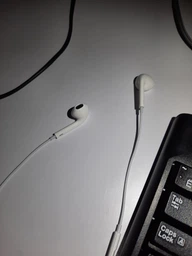 Наушники Apple iPhone EarPods with Mic 3.5 мм (MNHF2ZM/A) фото от покупателей 17