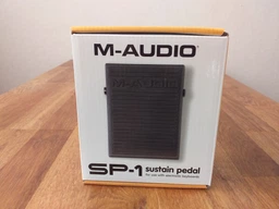 Педаль M-Audio SP-1 (SP-1 SUSTAIN PEDAL -ROHS) фото от покупателей 1