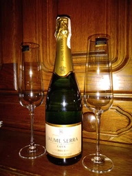 Вино ігристе Cava Jaume Serra Brut J.Garcia Carrion біле брют 0.75 л 11% + 2 келихи (2129908299083_1021000010300) фото від покупців 10