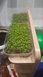 Набір для вирощування мікрозелені Panda microgreen на 7 врожаїв (7 видів культур) фото от покупателей 11