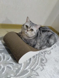 Кігтеточка дряпка з гофрокартону лежанка для котів з картонним фасадом Cat Joy Modern Whitish 54x13x25 см фото від покупців 2