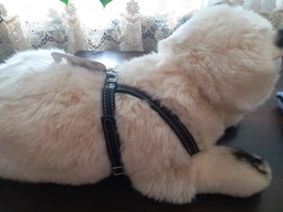 Шлея Collar одинарная для мелких собак (ширина 14 мм, А:40-48 см, В:43-51 см) Коричневая (06346Collar) фото от покупателей 6