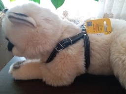 Шлея Collar одинарная для мелких собак (ширина 14 мм, А:40-48 см, В:43-51 см) Коричневая (06346Collar) фото от покупателей 7