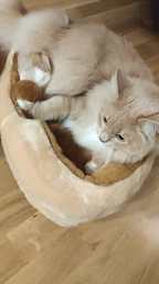 Будиночок дряпка для кота дряпка для кішки Мур-Мяу Лапка 52х75х120 см у джутовій мотузці Світло-Бежевий Темно-коричневий