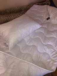 Набор антиаллергенный MirSon EcoSilk Супер Теплый №1660 Eco Light White (одеяло + подушки 50х70 среднии) (2200002654968) фото от покупателей 2