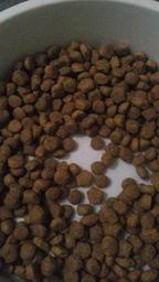 Сухий корм Dog Chow Puppy для цуценят з ягням 2.5 кг фото від покупців 9