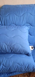 Набор антиаллергенный MirSon EcoSilk Супер Теплый №1662 Eco Light Blue (одеяло + подушки 50х70 среднии) (2200002654975) фото от покупателей 11