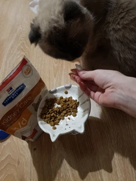 Сухий корм для котів Hill's Prescription Diet k/d підтримання функції нирок з куркою 3 кг (052742043760)