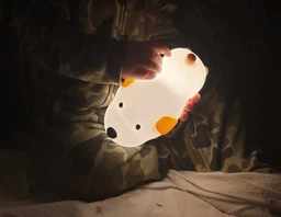Ночник игрушка 3DTOYSLAMP детский светильник для сна щенок силиконовый с LED аккумулятором таймером автовыключения 2 цвета свечения мягкий декоративный для украшения дома спальни детской комнаты гостиной 15.5×9×7 см оригинальный подарок ребенку фото от покупателей 2