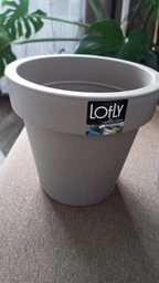 Горщик для квітів на Prosperplast Lofly 16 см Сірий (DLOF160-405U) фото від покупців 8