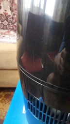 Увлажнитель воздуха PHILIPS Safe & clean Series 2000 HU4813/10 фото от покупателей 5