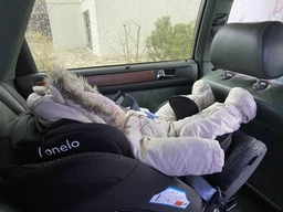 Автокрісло Lionelo Sander 0-36 кг Isofix Gray фото від покупців 1