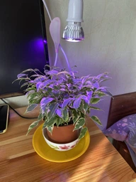Фітолампа GreenHouse GR-28 з світильником-прищепка фото від покупців 4