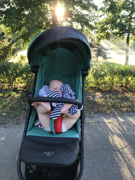 Прогулянкова коляска Anex Stroller Air-X Ax-05/L Green SG (8885020500141) фото від покупців 13