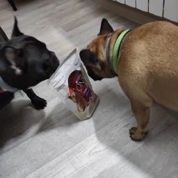 Сухий корм для собак малих порід Purina One Mini 1,5 кг (яловичина та рис) фото от покупателей 6