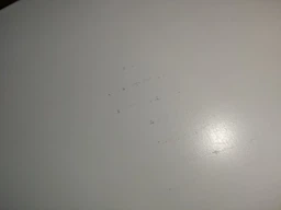 Конвектор TERMOPLAZA STP 900 White фото от покупателей 19