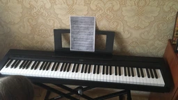 Цифрове піаніно Yamaha P-45 Black