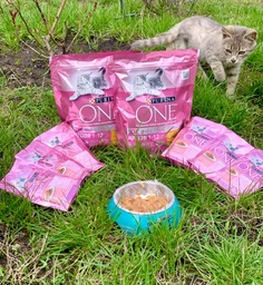 Вологий корм для кошенят Purina One Junio з лососем в гриль соусі 24 х 85 г 24х85г(7613038224466) фото від покупців 10