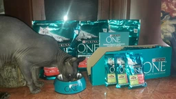 Вологий корм PURINA ONE Sterilcat для стерилізованих кішок з індичкою та зеленою квасолею 48шт*85г фото від покупців 7