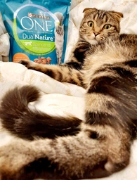 Сухий корм для кішок Purina One DualNature з спіруліна 750 г (7613036257633)