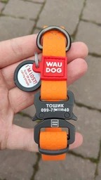 Нашийник для собак водостійкий WAUDOG Waterproof c QR паспортом металічна пряжка-фастекс Ш 20 мм Дов 28-40 см Блакитний (27932Collar) фото від покупців 3