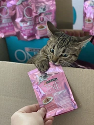 Вологий корм для кошенят Purina One Junio з лососем в гриль соусі 24 х 85 г 24х85г(7613038224466) фото від покупців 6