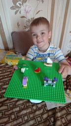 Конструктор LEGO Classic Базовая пластина серого цвета 1 деталь (11024) фото от покупателей 19