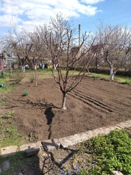 Культиватор електричний RZTK AT 1000E фото від покупців 1