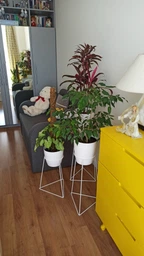Комплект металлических подставок для цветов и вазонов Adore Décor "Скандинавские", черный фото от покупателей 17