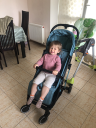 Прогулочная коляска Chicco Trolley Me Серая (79865.28)