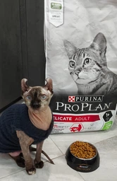 Сухой корм Purina Pro Plan Adult 1+ Delicate Digestion для кошек с чувствительным пищеварением с ягненком 3 кг фото от покупателей 16