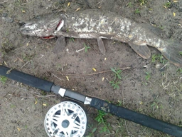 Спиннинг лодочный River Sports Fishing Lipari Boat 1.98m 40 lbs фото от покупателей 1